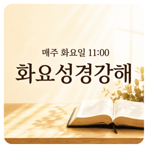 화요성경강해